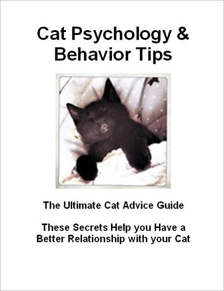Cat Psychology & Behavior Tips: These Secrets Help you Have a Better Relationship with your Cat