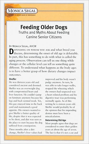 Feeding Older Dogs