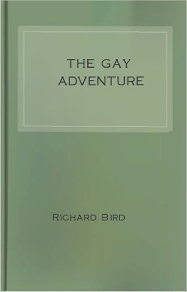 The Gay Adventure: A Romance Classic By Richard Bird!