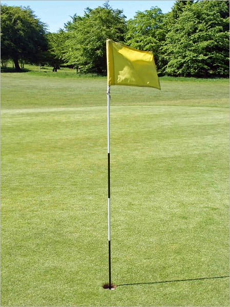 The Perfect Guide for Beginners Golf: Fix Your Imperfect Golf Swing