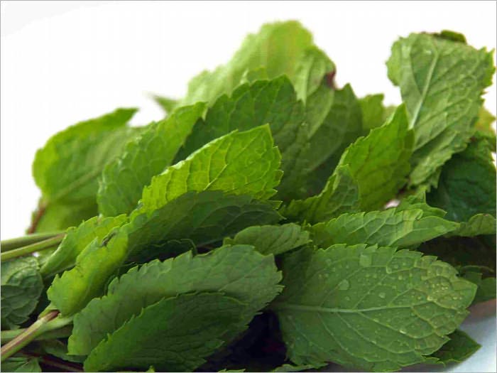Simple and Natural Herbal Remedies for Your Health