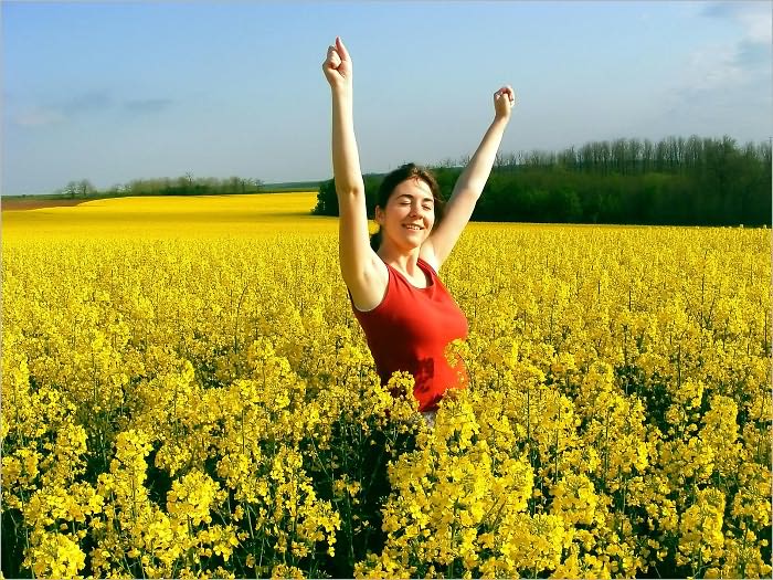 The Power of Positive Mental Attitude : How to Bring Out The Best Version of You