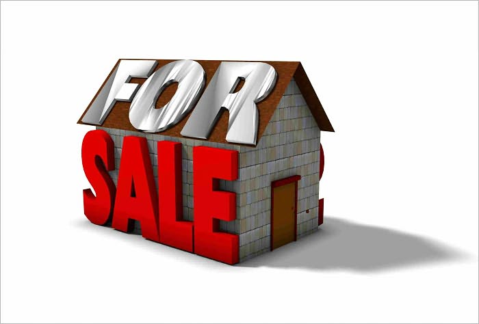 Simple Yet Powerful Tips On Selling Your House Yourself Fast