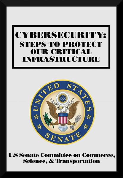 Cybersecurity: Steps to Protect Our Critical Infrastructure