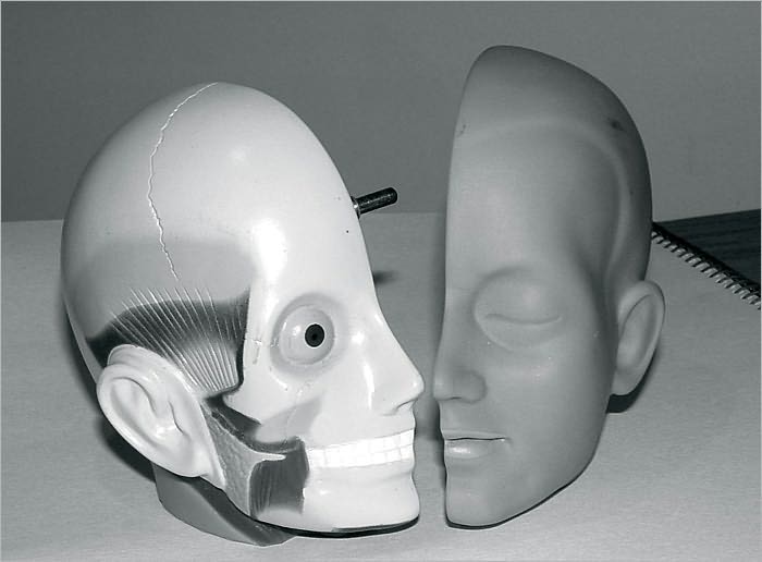 Understanding the Disorders of the Brain: Your Guide to Mental Illnesses