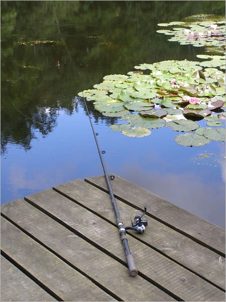 Walleye Fishing Secret: How the Pros Done It