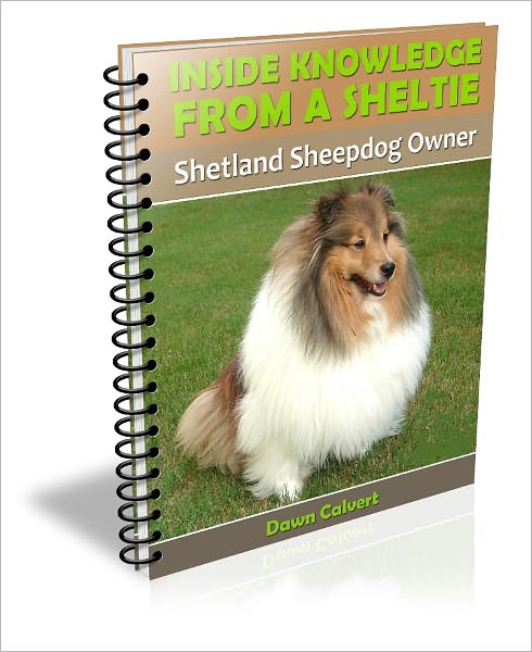 Inside Knowledge From a Sheltie: Shetland Sheepdog Owner