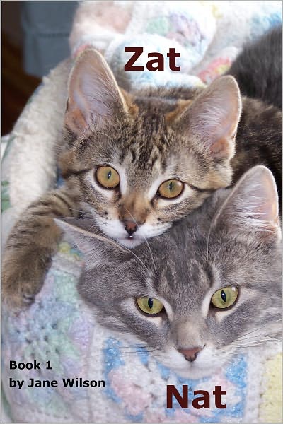 Zat and Nat-2 Cats, Short Stories with Short "a": Easy Children's Phonics and Kids' Games Book 1