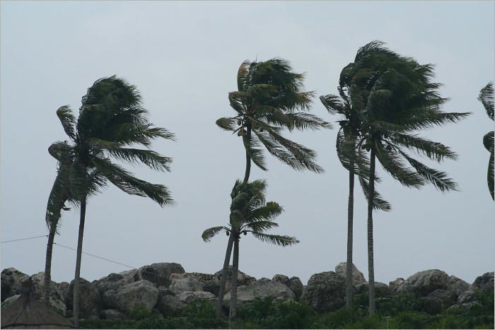 How to Take on Storms: Inspirational Stories to Get You Through Difficult Times