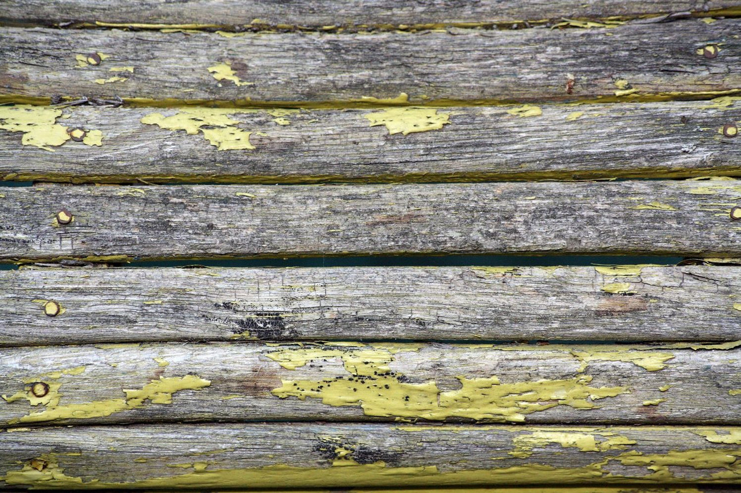 The Complete Guide to Wood Finishing: The Art of Making it Perfect