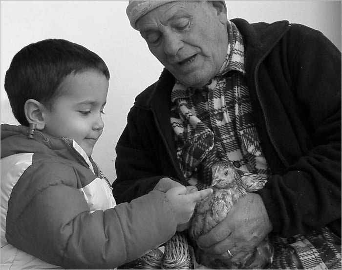 The Truth in Living a Long Healthy Life