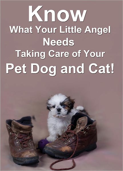 Know What Your Little Angel Needs: Taking Care of Your Pet Dog and Cat
