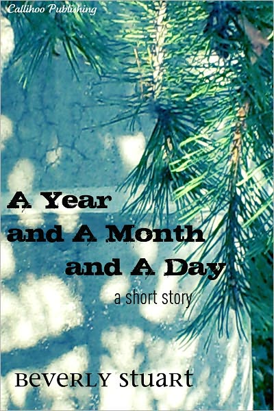 A Year and a Month and a Day