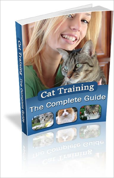 Cat Training: The Complete Guide