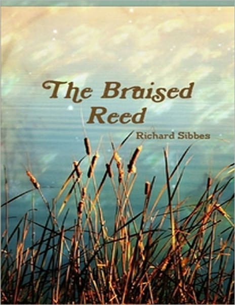 Bruised Reed