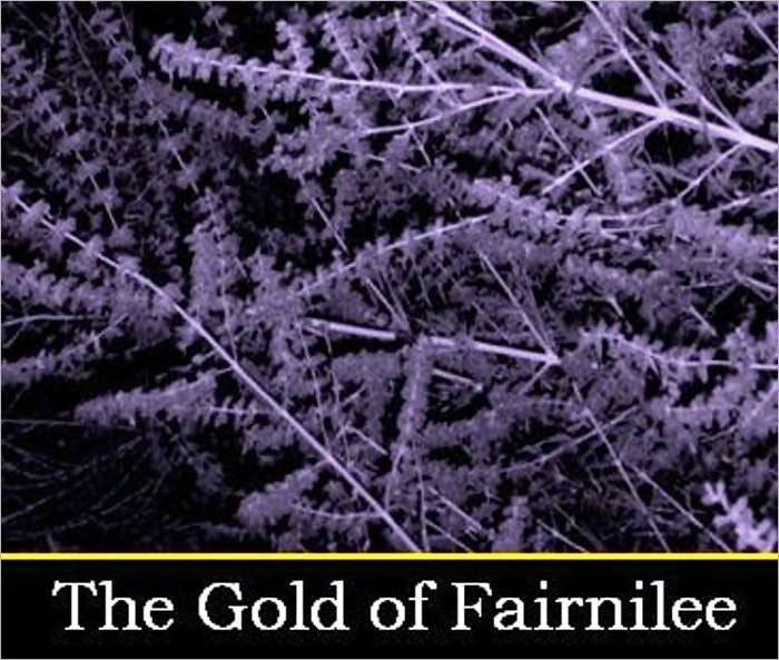 The Gold of Fairnilee