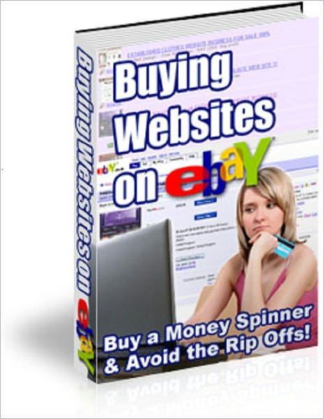 Buying Websites on eBay