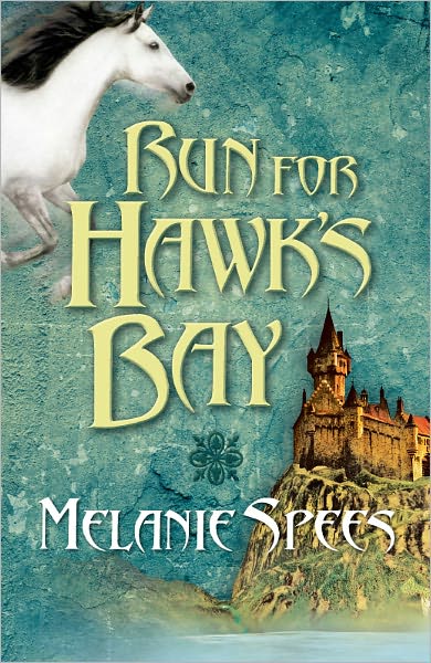 Run for Hawk's Bay
