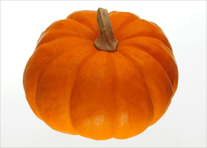 Authentic Delicious American Pumpkin Pie Recipes