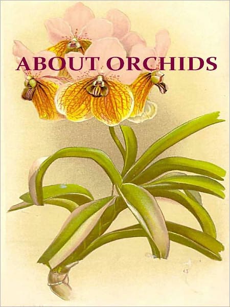 About Orchids; A Chat [Illustrated]