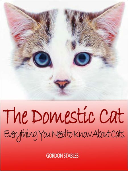 The Domestic Cat: Everything You Need to Know About Cats