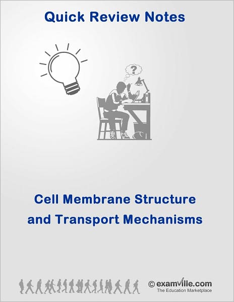 Quick Review: Cell Membrane Structure and Transport Mechanisms