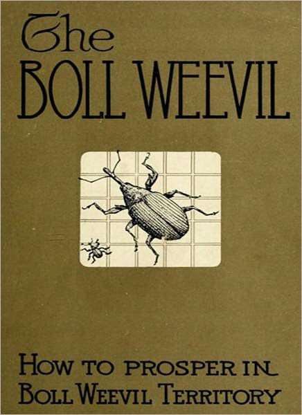 How to Prosper In Boll Weevil Territory: An Agricultural Classic By George Howard Alford!