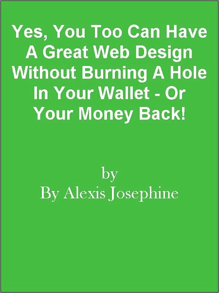 Yes, You Too Can Have A Great Web Design Without Burning A Hole In Your Wallet - Or Your Money Back!