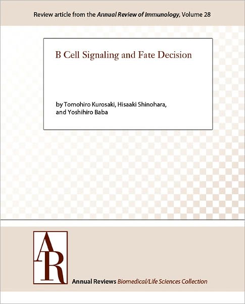 B Cell Signaling and Fate Decision