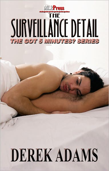 The Surveillance Detail