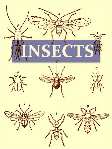 On the Origin and Metamorphoses of Insects
