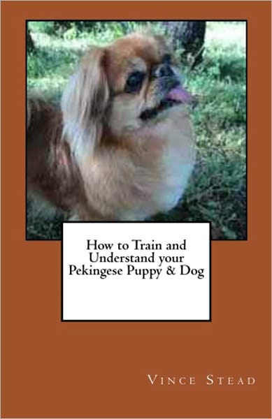 How to Train and Understand your Pekingese Puppy & Dog
