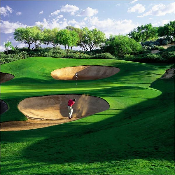 The Complete Golfer (Illustrated)