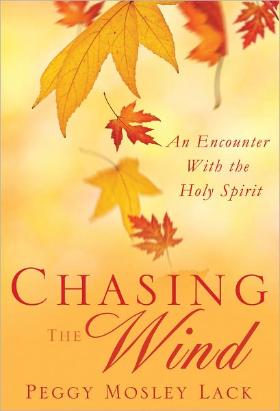 Chasing The Wind