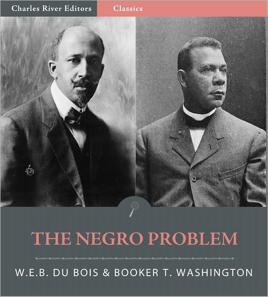 The Negro Problem (Illustrated)