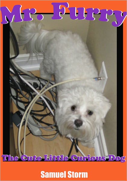 Mr. Furry The Cute Little Curious Dog