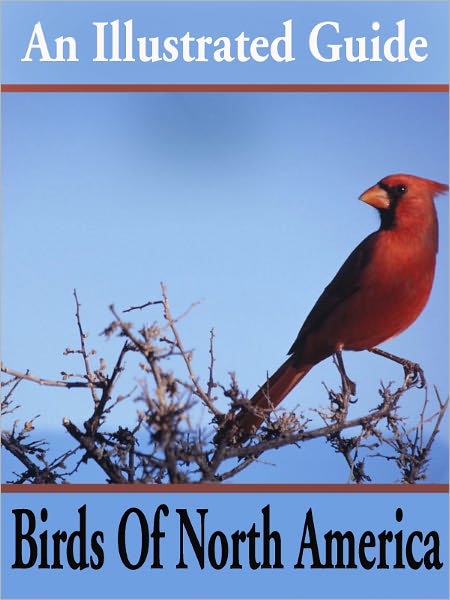 The Color Key to North American Birds / with bibliographical appendix (illustrated)