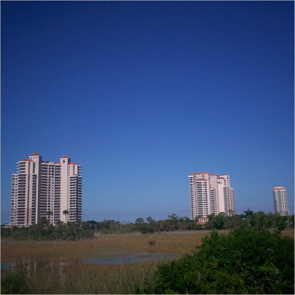 The Floridian