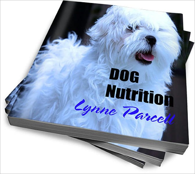 Dog Nutrition Diet: What Your Dog Should Eat at All Stages