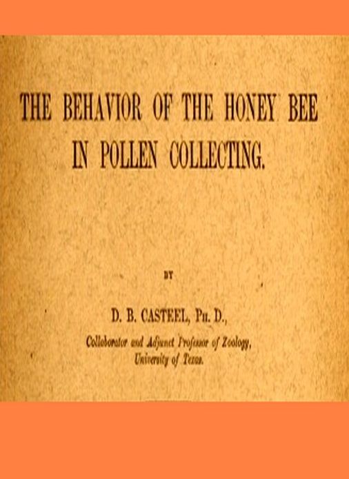 The Behavior of the Honey Bee in Pollen Collection [Illustrated]