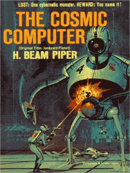 The Cosmic Computer