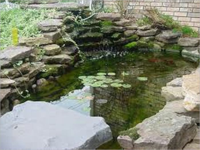 How to Create a Garden Pond