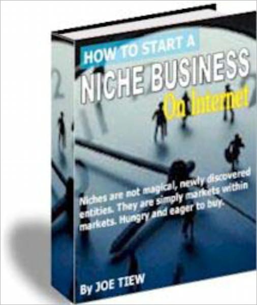 How to Start A Niche Business On Internet