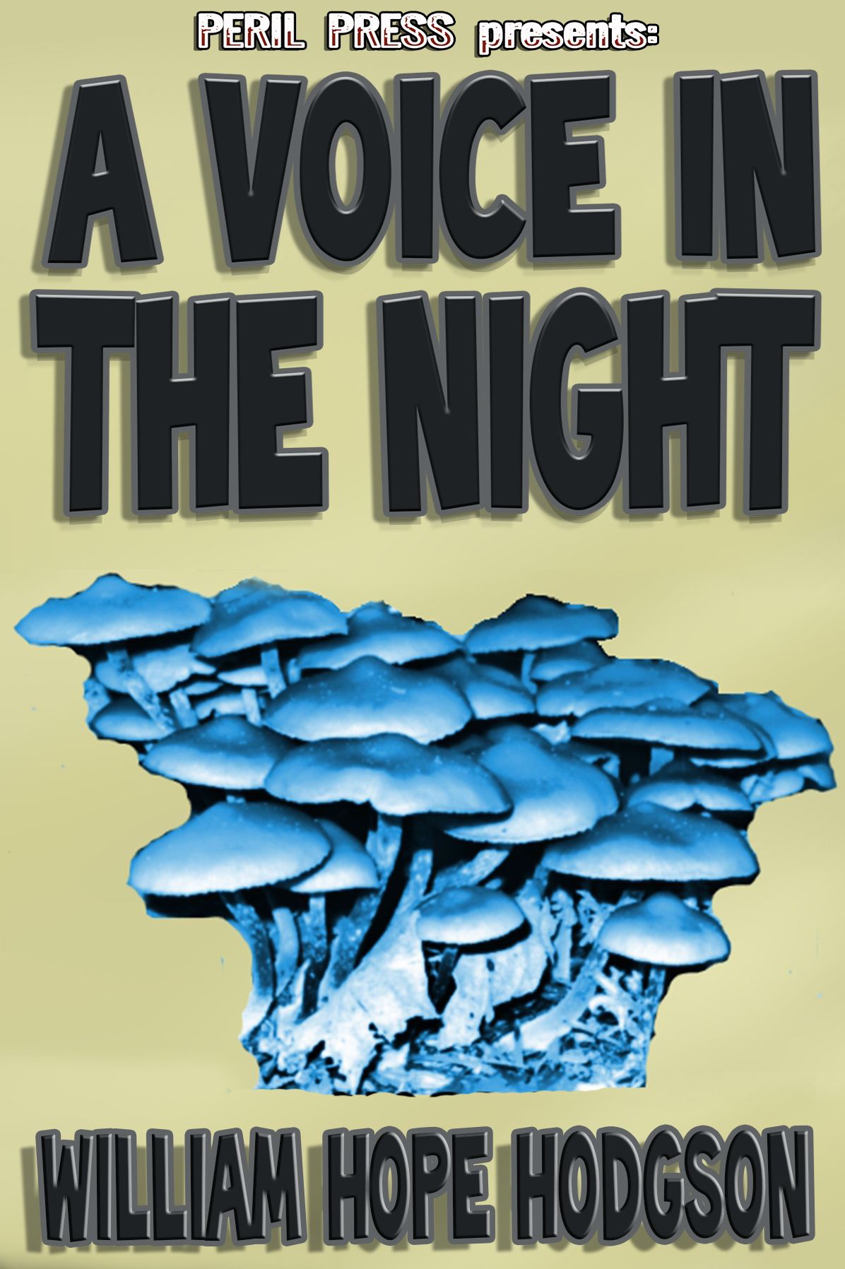 A Voice in the Night