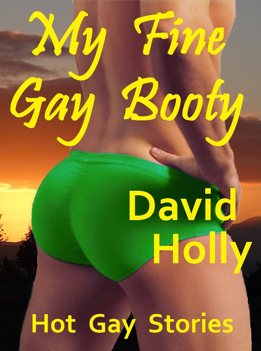 My Fine Gay Booty