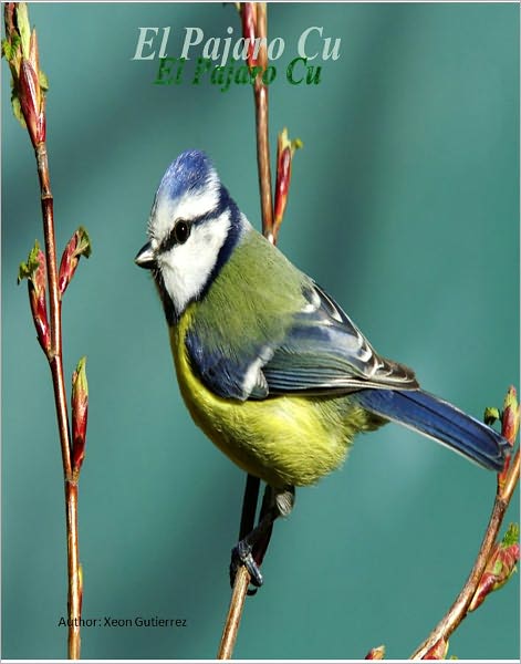 El Pajaro Cu: Extended Edition
