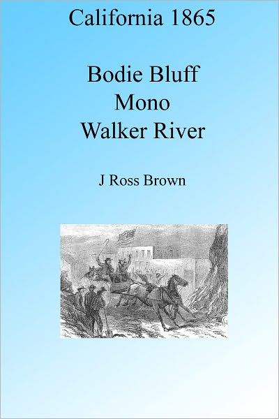 California 1865: Bodie Bluff, Mono and Walker River, Illustrated
