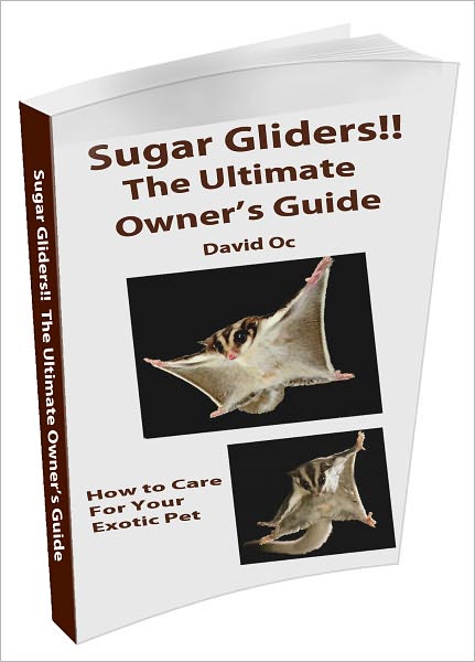 Sugar Gliders! The Ultimate Owner's Guide