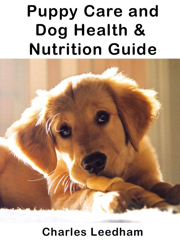 Puppy Care and Dog Nutrition: Dog Health Care and Basic Dog Training Tips 101 from Puppy to Older Dog Nutrition and Health Care