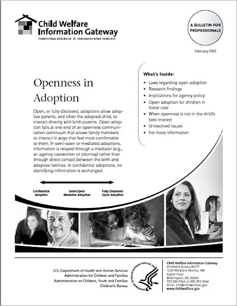 Openness in Adoption